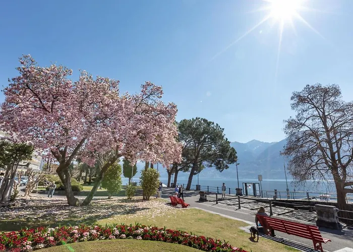 Large Suite-20 By Interhome Apartament Ascona